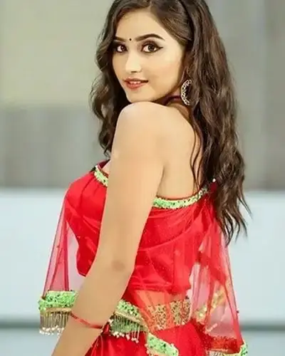 Escort In Wardhaman Nagar